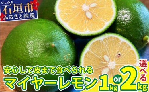 
                  【先行予約】2026年8月以降順次発送 こだわりの青切りマイヤーレモン 約1~2kg (6～18個) | 沖縄 石垣 数量限定 フルーツ レモン マイヤー メイヤー TF-026-27
                