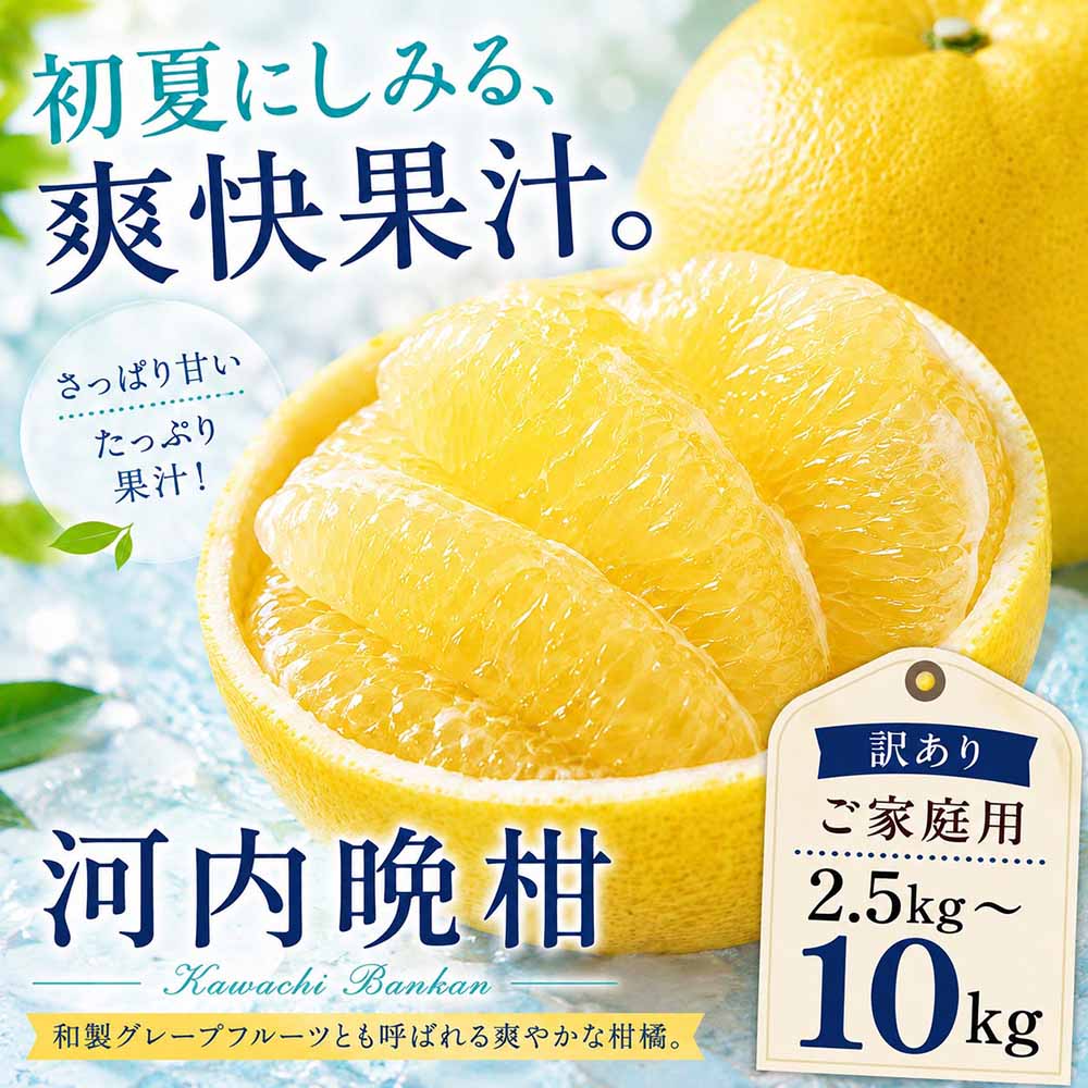 【ふるさと納税】＜涼果の旨み 愛媛県産河内晩柑 合計約2.5／5／7.5／10kg＞『2027年3月中旬～7月上旬迄に順次出荷予定』 選べる 訳あり 上品な味わい 爽やか ミカン 蜜柑 ご家庭用 果汁 果物 くだもの フルーツ オレンジ 柑橘 特産品 極尽道 愛媛県 西予市 【常温】