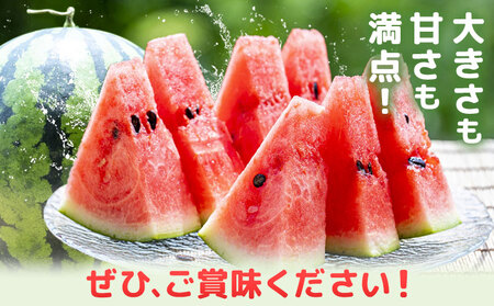 【先行予約】大玉すいか 1玉約5kg 日本フルーツ株式会社《5月上旬-６月下旬頃出荷》熊本県 菊池市 すいか スイカ 大玉 熊本県産