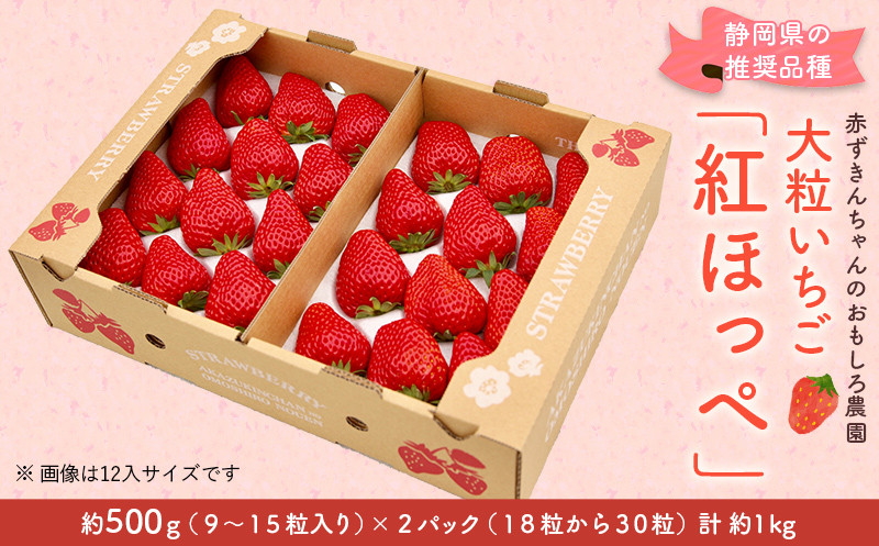 
１１７７　いちご 大粒 紅ほっぺ 500g×２P 計1kg 令和５年12月頃から発送　①12月 ②1月 ③2月 ④3月 赤ずきんちゃんのおもしろ農園
