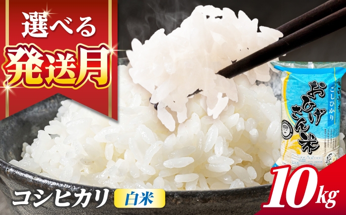 
                  米 【選べる発送月】 コシヒカリ 白米 10㎏ 米 お米 10kg 10キロ 白米 精米 コメ ご飯 ごはん 愛知県産 国産 県産米 国産米 コシヒカリ こしひかり 発送 時期 選べる 産地直送 30000円 3万円 令和7年 愛西市 / 脇野コンバイン [AECP022]
                