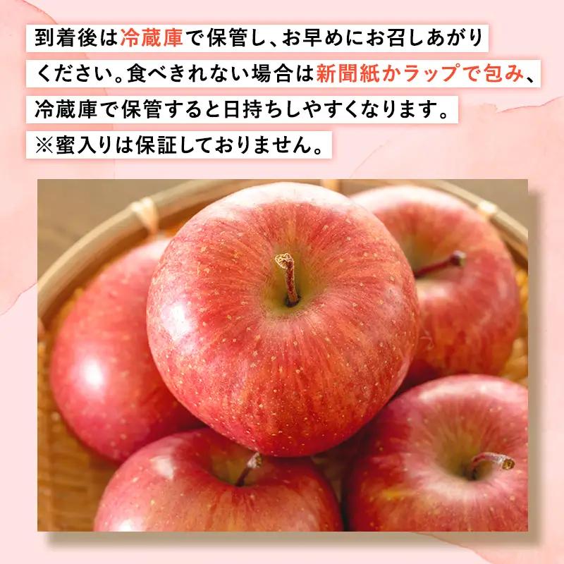 りんご 糖度選別サンふじ 約2kg  〈hi-0001-034〉