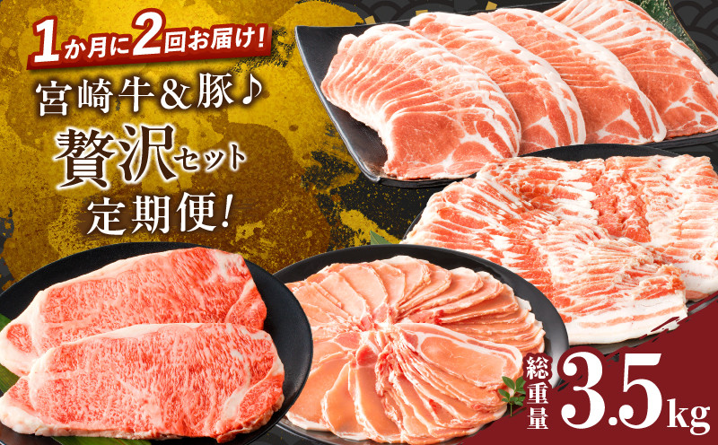 
            ≪定期便≫＼1か月に2回お届け!!／宮崎牛＆豚♪贅沢セット【総重量3.5kg】 肉 牛 牛肉 焼肉 国産_T030-046
          