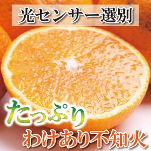 ＜2月より発送＞ 家庭用 不知火 4kg+120g（傷み補償分） デコポンと同品種 人気の春みかん 訳あり わけあり 光センサー選別［IKE121］