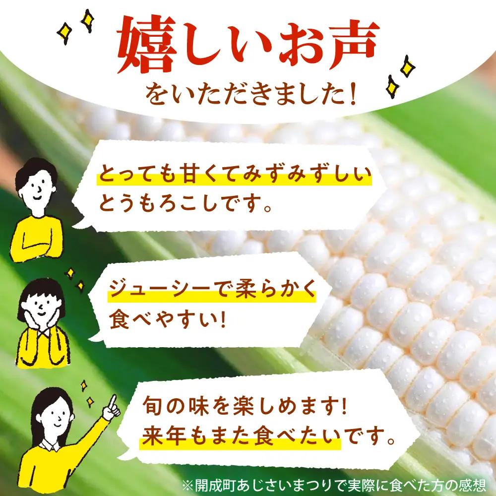 【先行予約】 白いとうもろこし 5本 ホワイトショコラ とうもろこし  [BDAX001]
