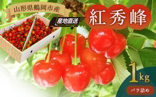 【令和8年産先行予約】山形県鶴岡産さくらんぼ「紅秀峰」 バラ詰め1kg　JA庄内たがわ　K-874