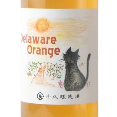 ふるさと納税 牛久市 デラウエアオレンジ Delaware Orange 750ml×1本 |  | 01