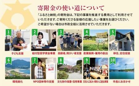 【返礼品なし】 岩手県陸前高田市への応援寄附金 1口 10,000,000円