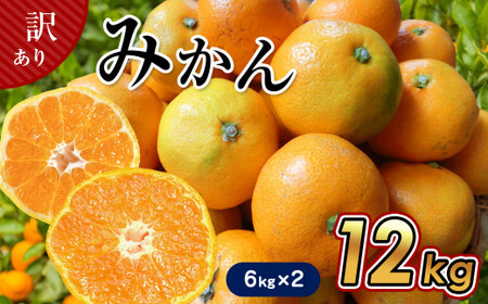 【 6キロ × 2箱 】 たまな産 温州みかん 12kg | 果物 くだもの フルーツ 柑橘類 柑橘 みかん ミカン 蜜柑 熊本 玉名