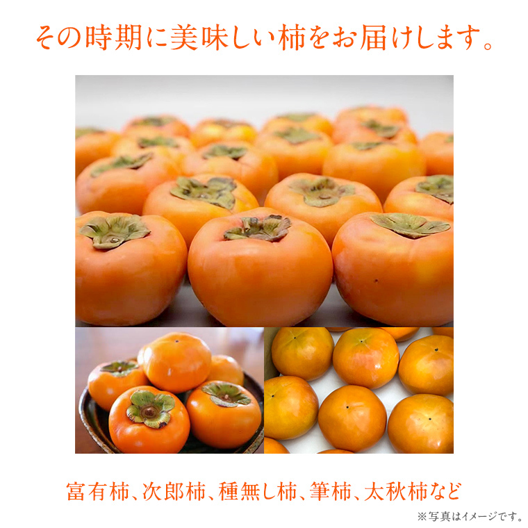 柿　2品種 食べ比べ 各7個ずつ【10月中旬より発送開始】（茨城県共通返礼品：石岡市産） 果物 フルーツ 茨城県産 [BI455-NT]_イメージ2