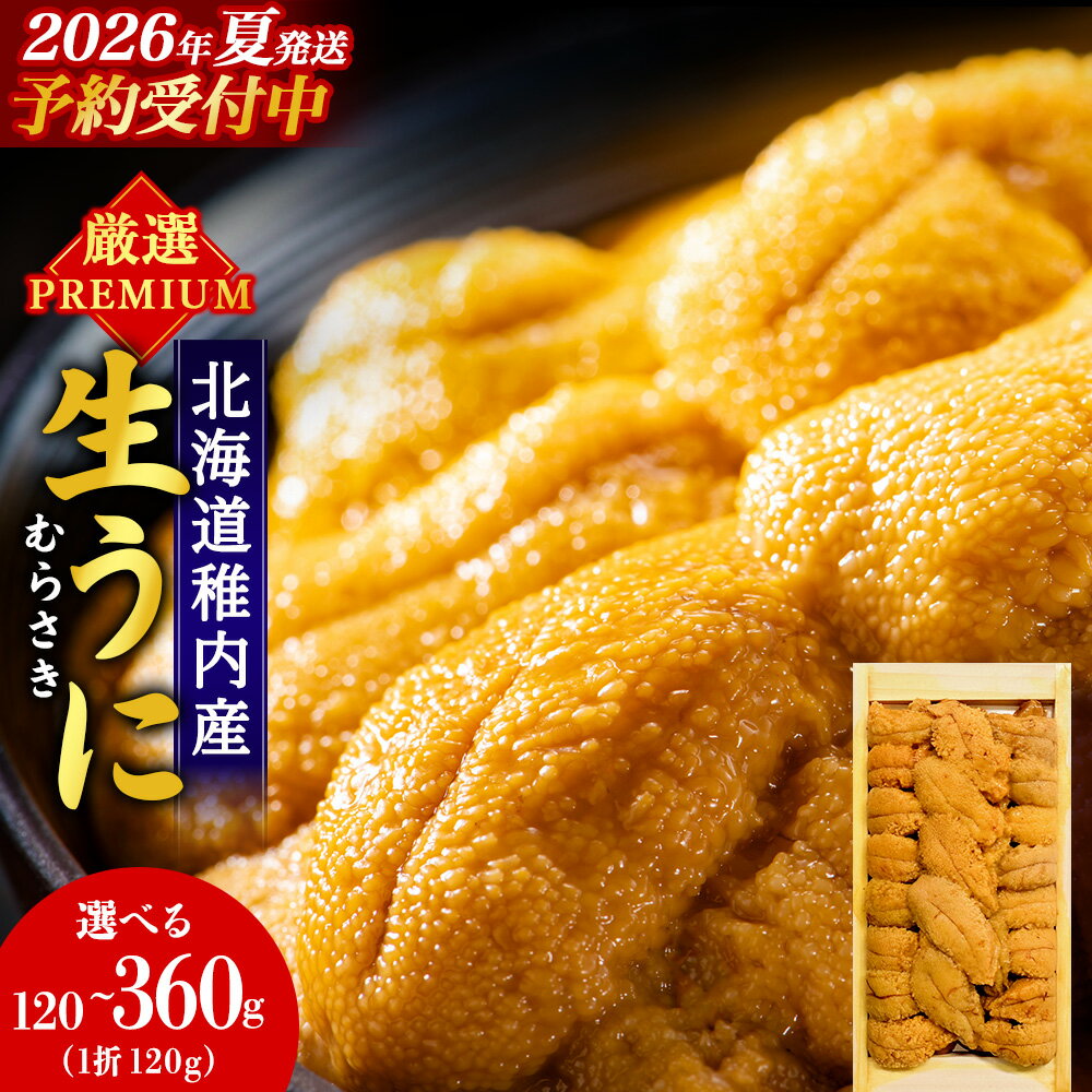 【ふるさと納税】【2026年発送 先行予約】【厳選PREMIUM】美味しいウニは昆布の名産地にあり!生むらさきうに 選べる1〜3パック 1パック120gムラサキウニ うに むらさきうに 生うに 海鮮 海産物 北海道 稚内 【配送不可地域：離島・沖縄】
