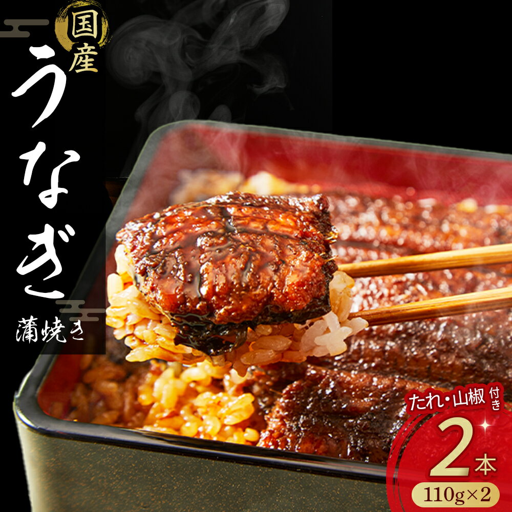 【ふるさと納税】 うなぎ 蒲焼き セット 220g (110g×2本) 国産 名店 食べ方 調理済み うな重・ひつまぶしに タレ付き 山椒付き ギフト(お歳暮/お正月)お取り寄せ グルメ Esu-A92