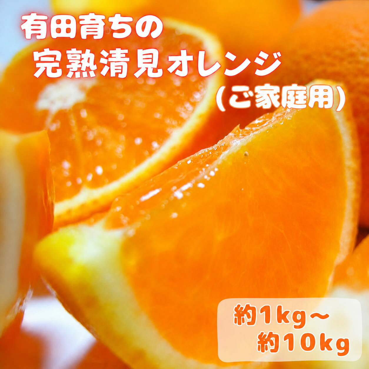 【ふるさと納税】【2027年2月下旬～5月上旬頃に順次発送予定】有田育ちの完熟清見オレンジ(ご家庭用)　【選べる容量】約1kg～約7.5kg※北海道・沖縄・離島配送不可