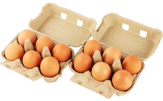 【定期便5回】 旬の野菜とたまごのセット 野菜 10品 にんにくたまご 12個 やさい 卵 詰め合わせ 詰合せ 定期便 メロンドーム 《お申し込みの翌月から出荷》---003-2420---