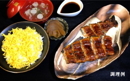 【須川屋台道場】うなぎ 蒲焼 ・ 白焼き セット / 南島原市 / はなぶさ [SCN008]