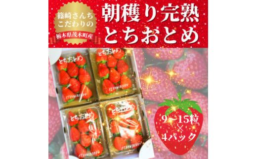 ＜1月から順次発送＞篠崎さんちのいちご　もてぎの完熟とちおとめ(9～15粒×4パック)【1266486】