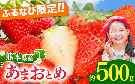 【ふるなび限定】坂本いちご農園 あまおとめ 約500g | 果物 くだもの フルーツ いちご 苺 イチゴ あまおとめ 500g 熊本県 玉名市【FN-Limited】