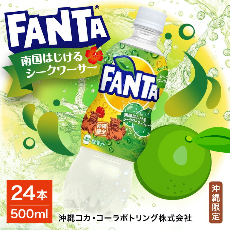 【ふるさと納税】【沖縄限定販売！】ファンタ シークワーサー 500ml×24本