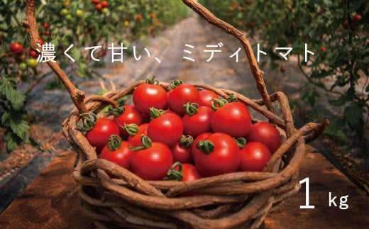 【2025年産予約受付】 フルーツトマト 1kg のんの畑北海道 ミディトマト 数量限定