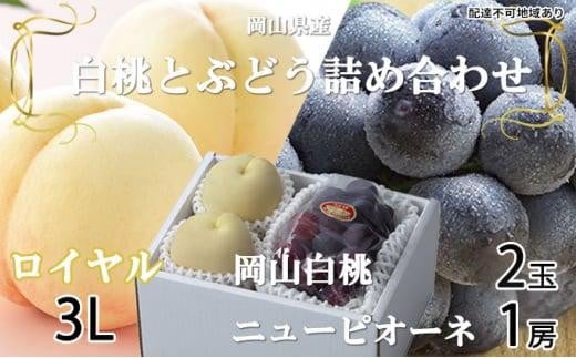 桃 ぶどう 2026年 岡山 白桃 ロイヤル 2玉×約300g（3Lサイズ、早生種・中生種）ニュー ピオーネ 1房約600g 詰め合わせ 岡山県産 フルーツ