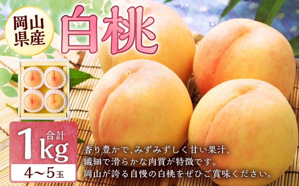 
            岡山 白桃 4～5玉 （合計1.0kg以上） 【2026年7月上旬～8月上旬 発送予定】 白桃 桃 もも モモ 果物 くだもの フルーツ お取り寄せ 贈り物 ギフト 国産
          