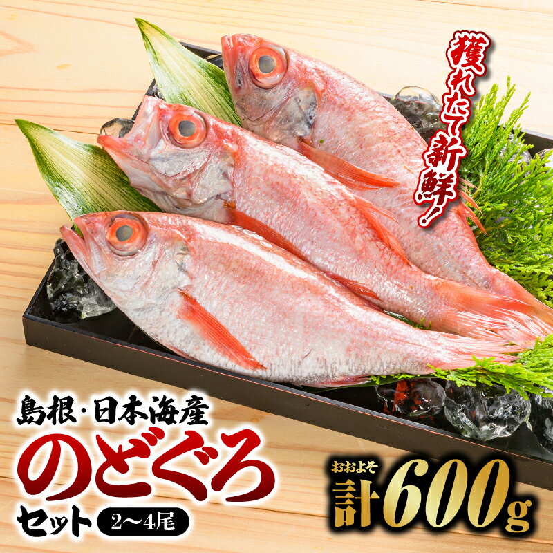 【ふるさと納税】【選べるセット】鮮魚セットD・F【のどぐろ2～7尾 計約600g～1.2kg】【YM-4】｜送料無料 のどぐろ ノドグロ 島根 山陰 日本海産 魚介類 魚貝類 海産 海産物 おかず 下処理済 煮付け 刺身 さしみ 焼き魚 焼魚 魚 さかな 鮮魚 新鮮 せんぎょ 厳選 ｜