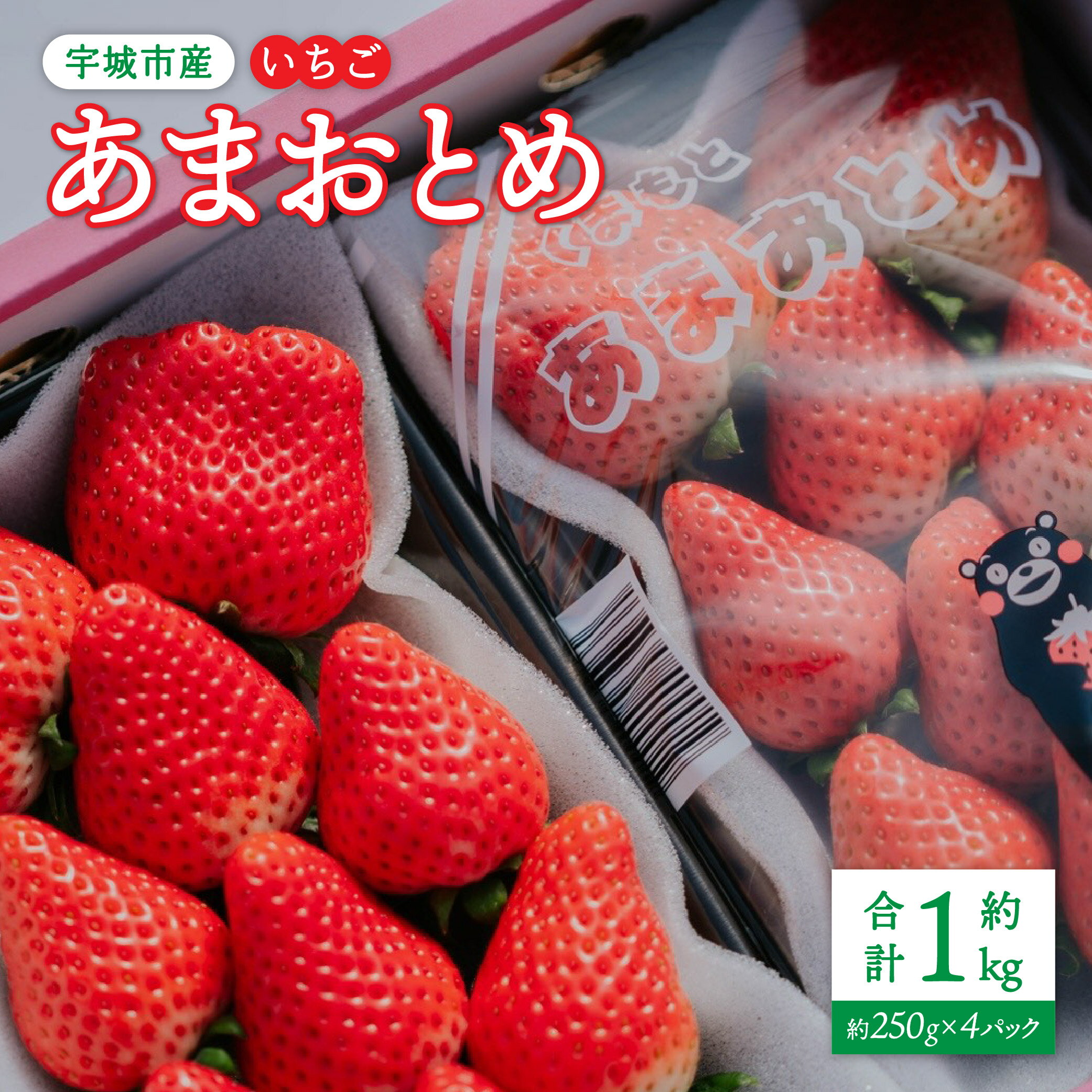 【ふるさと納税】先行予約【配送月が選べる】 いちご あまおとめ 約1kg(約250g×4パック) 【2026年1月上旬〜3月下旬発送予定】 苺 熊本県産 九州産 国産 宇城市産 NAGATA FARM