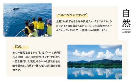 かんたん除菌 ウエットティッシュ アルコールタイプ 20枚入り×3P×3セット(合計9個) 高知県土佐市 【テンポイント株式会社】 [BQBI004]