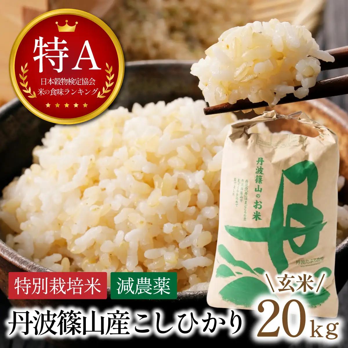 新米予約〈スピード出荷〉減農薬 特A 玄米 丹波篠山産 特別栽培米 こしひかり 20kg 小分け