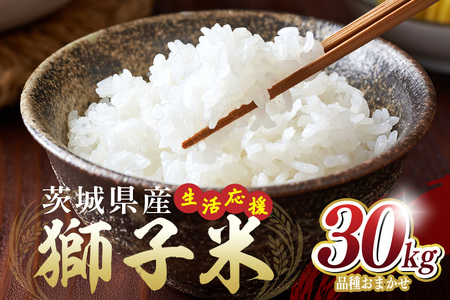 【12月限定】生活応援！ 獅子米 30kg 玄米 お米 米 おまかせ こしひかり にじのきらめき あきたこまち ご飯 ごはん 産地直送 国産 茨城県 石岡市 B02-089