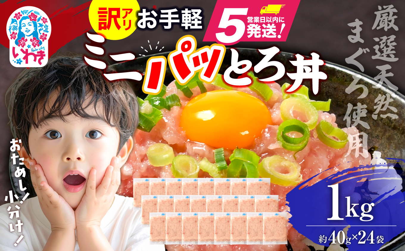 ねぎとろ使い切りパック　約1kg（約40g×24パック）| まぐろ まぐろたたき ねぎとろ マグロ パーティー 使い切りパック 海鮮丼 お寿司 軍艦巻き 福島県 いわき市 父の日【DK011-1kg】