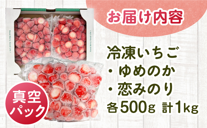 冷凍いちご 1kg 『ゆめ恋フローズンセット』《壱岐市》【蒼花】 産地直送 冷凍配送 いちご 苺 フルーツ フローズン 朝食 ゆめのか 恋みのり [JEO005]