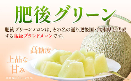 【先行予約】肥後グリーンメロン 2玉 児玉農園 1玉(1.5kg以上)《5月上旬-5月末頃出荷》メロン グリーンメロン 熊本県 玉東町 フルーツ 果物