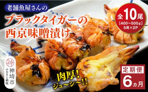 【6カ月定期便】ブラックタイガーの西京味噌漬け 5尾×2パック×6回【海老 味噌漬け 焼くだけ 簡単調理 エビ料理 おつまみ おかず バーベキュー お弁当】(H032143)