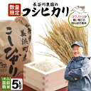 【ふるさと納税】【先行予約】【令和7年産・新米】長谷川農園の コシヒカリ 白米 5kg 【2025年9月下旬以降順次発送予定】【お米 こしひかり 5キロ 精米 ブランド米 ふるさと納税米 産地直送】