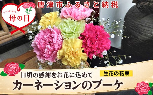 
                  母の日ギフト お母さんありがとう！カーネーションのブーケ お祝い 記念日 フラワーギフト「母の日」Hahanohi
                