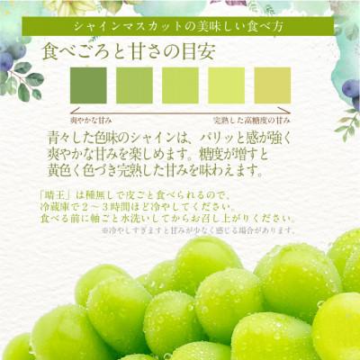 ふるさと納税 鏡野町 【発送月固定定期便】プレミアムシャインマスカット晴王 1房 約700g全2回 |  | 02