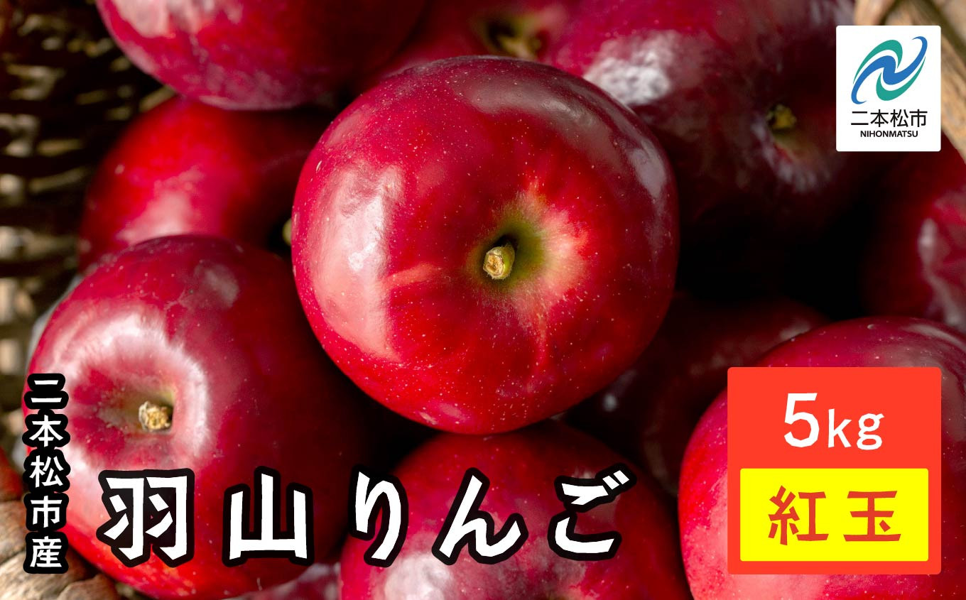 
            《2025年10月中旬以降発送》羽山のりんご　紅玉5kg りんご リンゴ 林檎 旬 フルーツ 果物 食感 新鮮 甘い 甘み 酸味 グルメ おいしい 人気 ランキング おすすめ ギフト 福島 ふくしま 二本松市 送料無料【羽山果樹組合】
          
