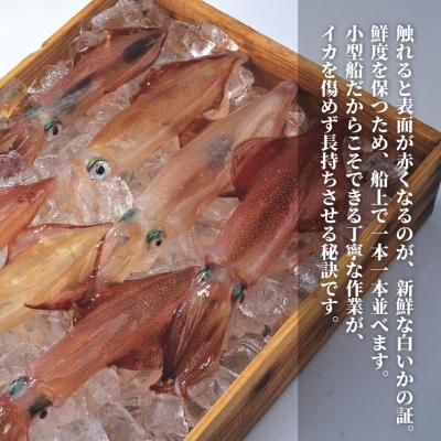 ふるさと納税 海士町 【便利な個包装】高級朝どれ白いか丸ごと3本セット【ぜひお刺身で!】 |  | 02