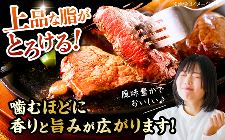 土佐あかうし 塊肉ステーキ 約500g（もも）【株式会社Dorago】[ATAM046]