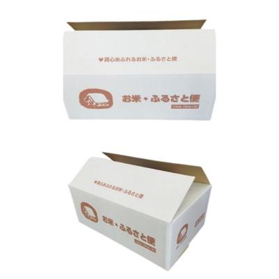 ふるさと納税 福島市  【令和6年産】福島県産米「里山のつぶ」精米 5kg  2袋　No.3048 |  | 01