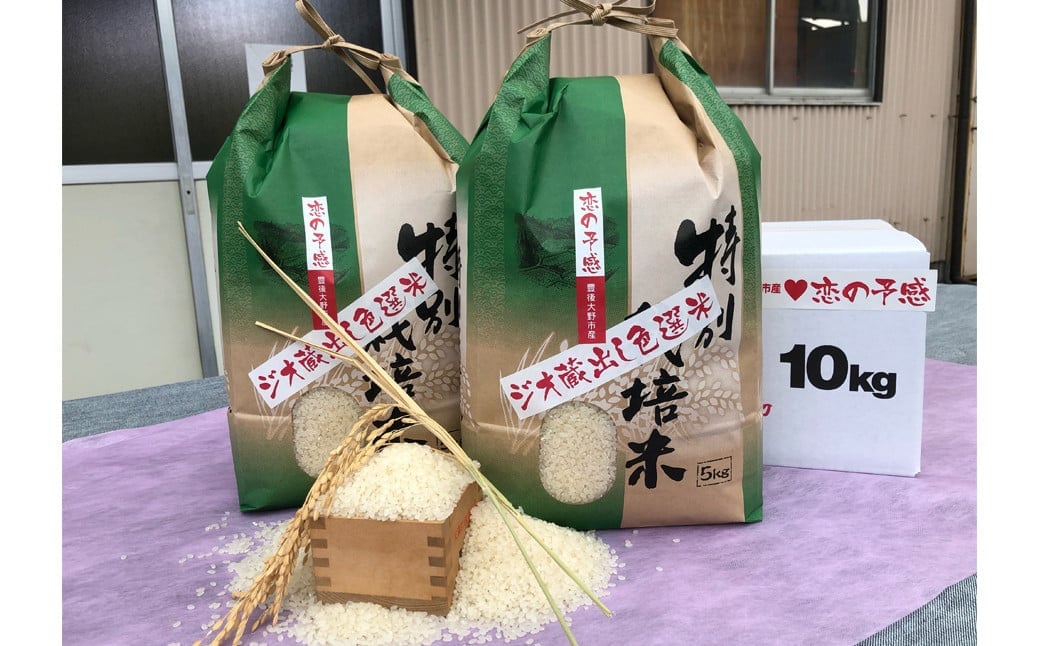 大分県 豊後大野市産 大分県選択銘柄登録品種 「恋の予感」ジオ蔵出し色選米 特別栽培米 10kg (5kg×2袋) 米 精米
