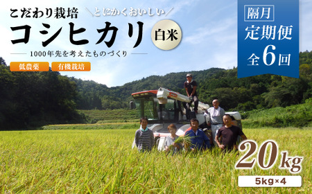 【R7年産 新米先行予約】 【定期便6回隔月お届け】有機栽培コシヒカリ白米 20kg×6回(隔月) 低農薬 隔月お届け 精米 白米