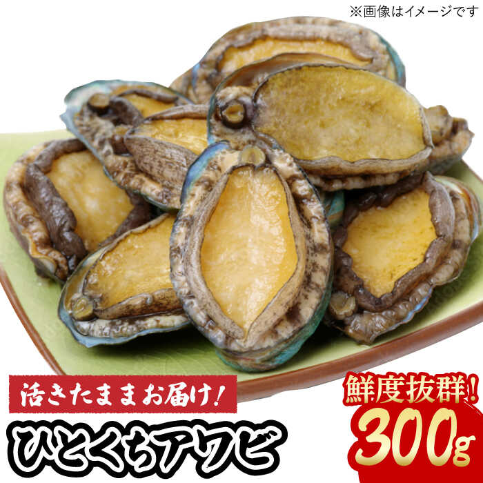 【ふるさと納税】【小ぶりで料理に使いやすい！】 上五島産 養殖 ひとくち アワビ 厳選 300g【豊建設株式会社】 [RAE005]