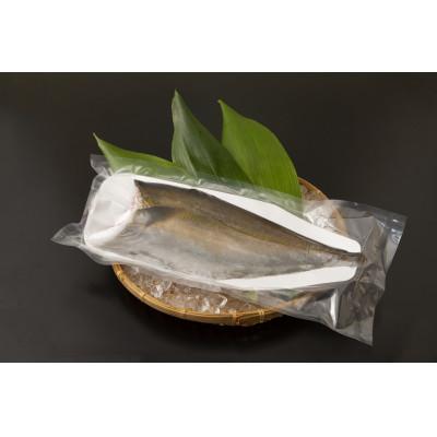 ふるさと納税 南大隅町 【ねじめ黄金カンパチ】フィレ 1尾分 ( 約1,250g × 2枚 )