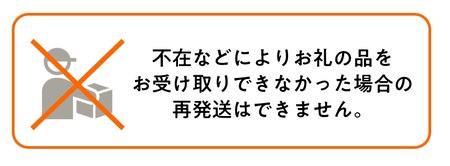 2025年 8月 出荷 先行予約 メロン 北海道 共和町産 らいでんメロン 赤肉 2玉 セット フルーツ 果物 産地直送 JAきょうわ 果実 赤肉メロン 