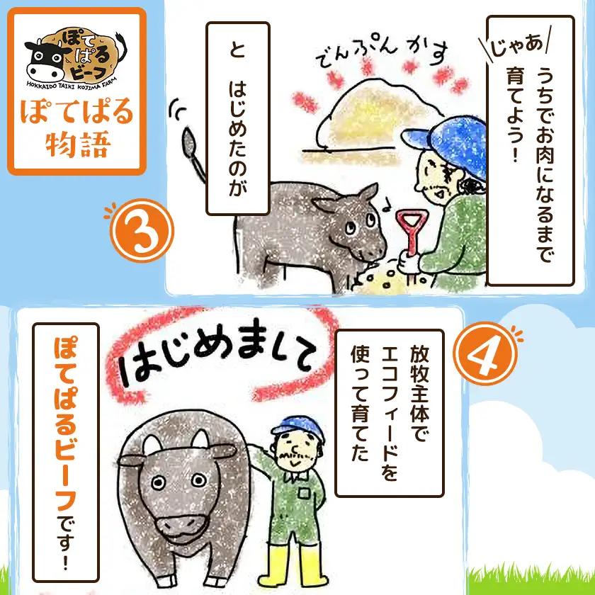 ぽてぱるビーフ・ハンバーグ　150g×5個【750g】【配送不可地域：離島】【1730877】