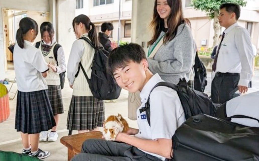 【返礼品なし】 野村高校 魅Can部 （動物ふれあい部、相撲部）への応援寄附