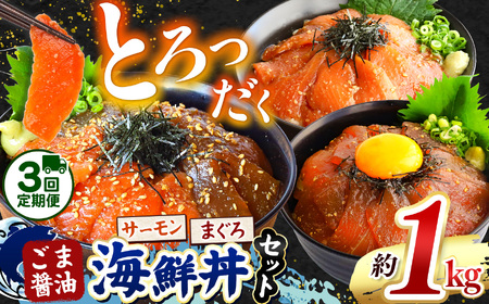 【 定期便3回 】 "とろだく” ごま醤油 海鮮丼 まぐろ & サーモン 約 1kg | 熊本県 和水町 くまもと なごみ 魚 海鮮 肥後 海鮮丼 スライス 冷凍 漬け さかな 漬け丼 小分け 数量限定 人気 熊本県 熊本