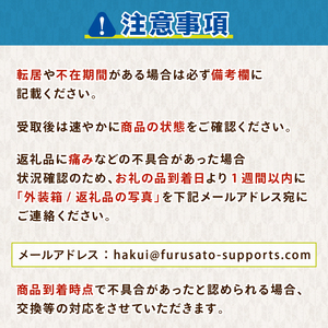 【 先行予約 】 令和7年産 のと米 15kg × 6回 定期便 米 米 米 米 米 米